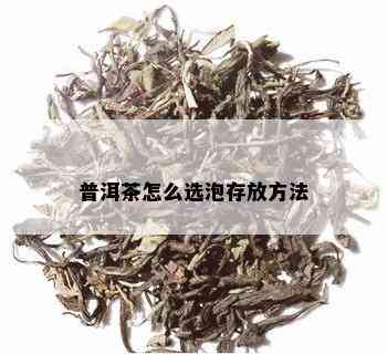 普洱茶怎么选泡存放方法