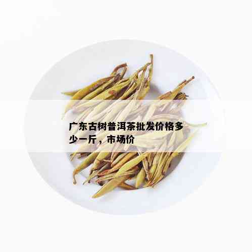 广东古树普洱茶批发价格多少一斤，市场价