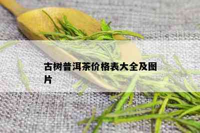 古树普洱茶价格表大全及图片