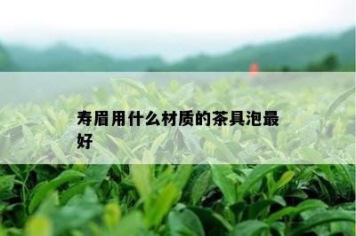 寿眉用什么材质的茶具泡更好