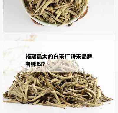 福建更大的白茶厂饼茶品牌有哪些？