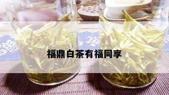 福鼎白茶有福同享