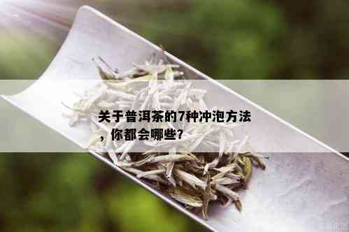 关于普洱茶的7种冲泡方法，你都会哪些？