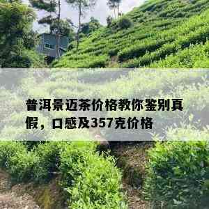 普洱景迈茶价格教你鉴别真假，口感及357克价格