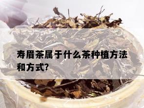 寿眉茶属于什么茶种植方法和方式？