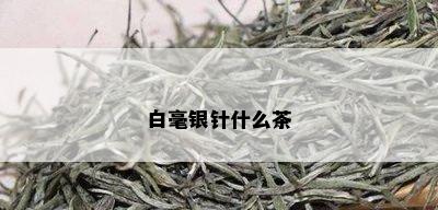 白毫银针什么茶