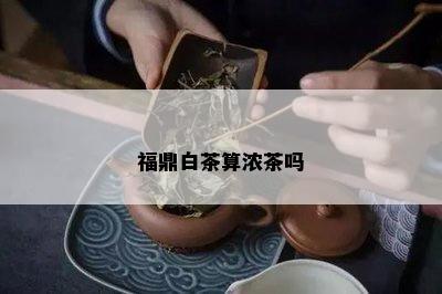 福鼎白茶算浓茶吗