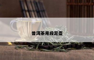 普洱茶用段泥壶