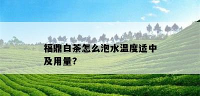 福鼎白茶怎么泡水温度适中及用量?