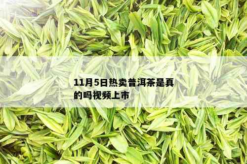 11月5日热卖普洱茶是真的吗视频上市