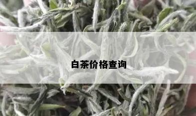 白茶价格查询