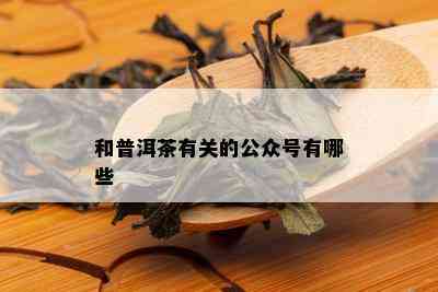 和普洱茶有关的公众号有哪些