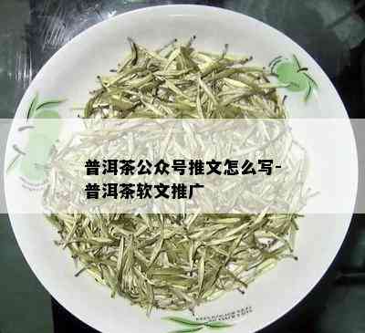 普洱茶公众号推文怎么写-普洱茶软文推广