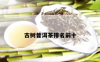 古树普洱茶排名前十