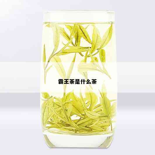 霸王茶是什么茶