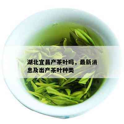 湖北宜昌产茶叶吗，最新消息及出产茶叶种类