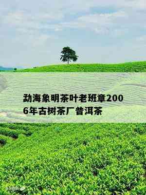 勐海象明茶叶老班章2006年古树茶厂普洱茶