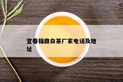 宜春福鼎白茶厂家电话及地址