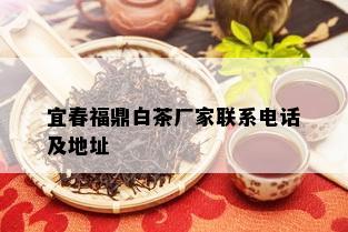 宜春福鼎白茶厂家联系电话及地址