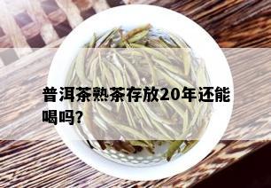 普洱茶熟茶存放20年还能喝吗？