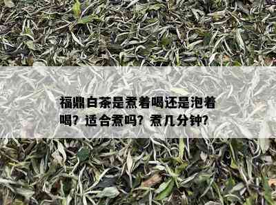 福鼎白茶是煮着喝还是泡着喝？适合煮吗？煮几分钟？