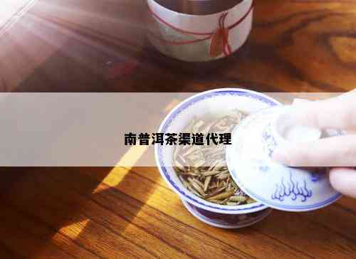 南普洱茶渠道代理