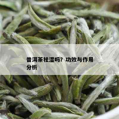 普洱茶祛湿吗？功效与作用分析