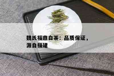 魏氏福鼎白茶：品质保证，源自福建