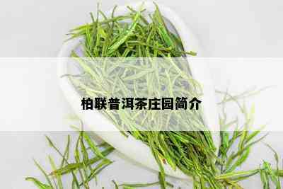 柏联普洱茶庄园简介