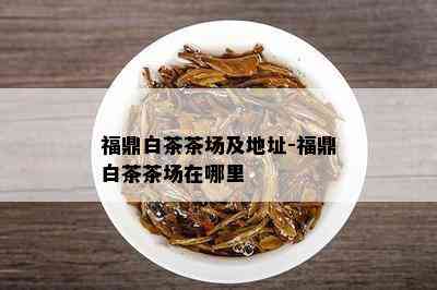 福鼎白茶茶场及地址-福鼎白茶茶场在哪里