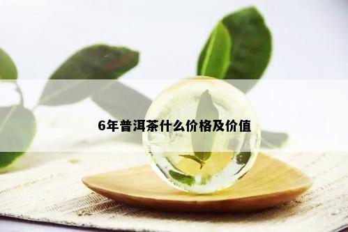 6年普洱茶什么价格及价值