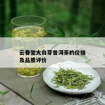 云春堂大白芽普洱茶的价格及品质评价