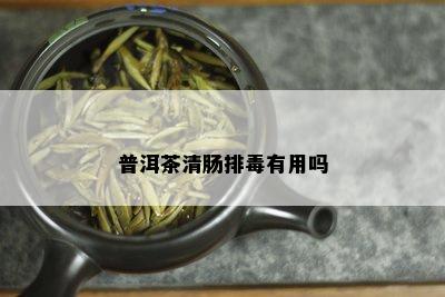 普洱茶清肠排有用吗