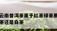 云南普洱茶属于红茶绿茶黑茶还是白茶