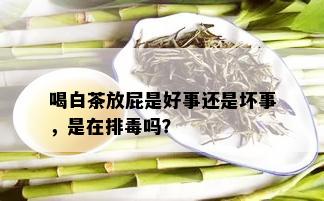 喝白茶放屁是好事还是坏事，是在排吗？