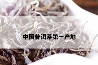 中国普洱茶之一产地