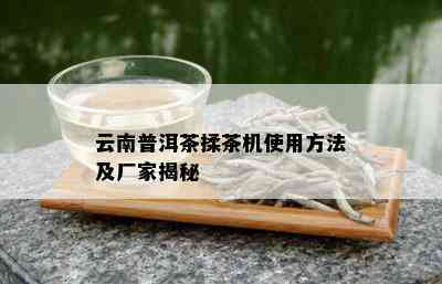 云南普洱茶揉茶机使用方法及厂家揭秘