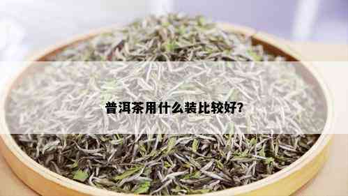 普洱茶用什么装比较好？