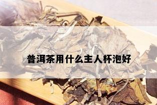 普洱茶用什么主人杯泡好