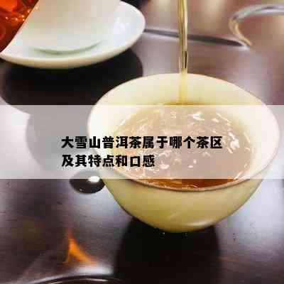 大雪山普洱茶属于哪个茶区及其特点和口感