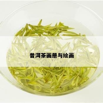 普洱茶画册与绘画