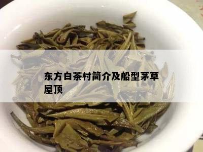 东方白茶村简介及船型茅草屋顶