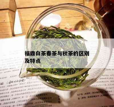 福鼎白茶春茶与秋茶的区别及特点