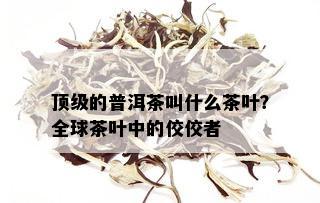 顶级的普洱茶叫什么茶叶？全球茶叶中的佼佼者