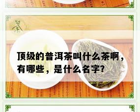 顶级的普洱茶叫什么茶啊，有哪些，是什么名字？