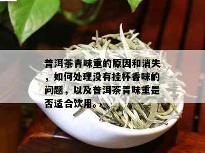 普洱茶青味重的原因和消失，如何处理没有挂杯香味的问题，以及普洱茶青味重是否适合饮用。