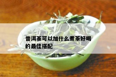 普洱茶可以加什么煮茶好喝的更佳搭配