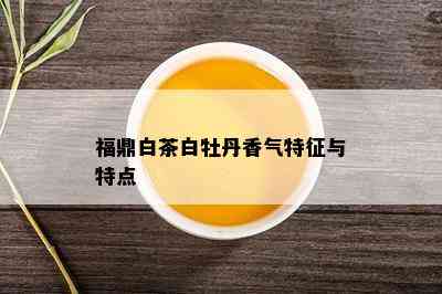 福鼎白茶白牡丹香气特征与特点