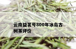 云南益茗号800年冰岛古树茶评价