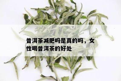 普洱茶减肥吗是真的吗，女性喝普洱茶的好处